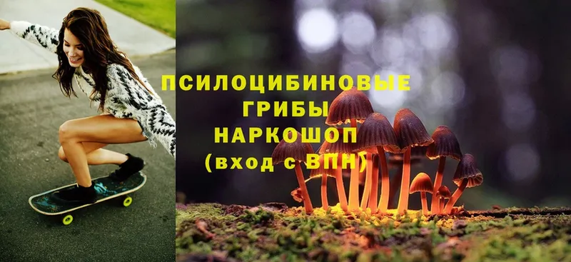 Псилоцибиновые грибы Magic Shrooms  Старая Русса 